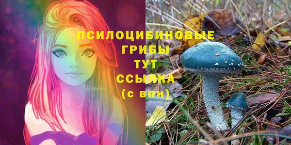 MESCALINE Алзамай