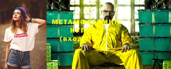 шишки Сатка