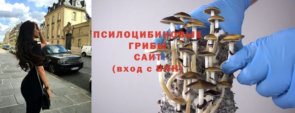 MESCALINE Алзамай
