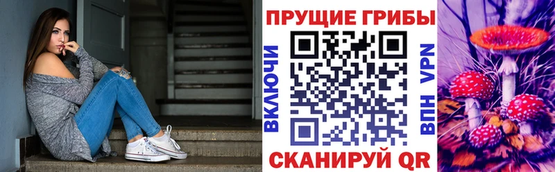 Галлюциногенные грибы прущие грибы  Донской 