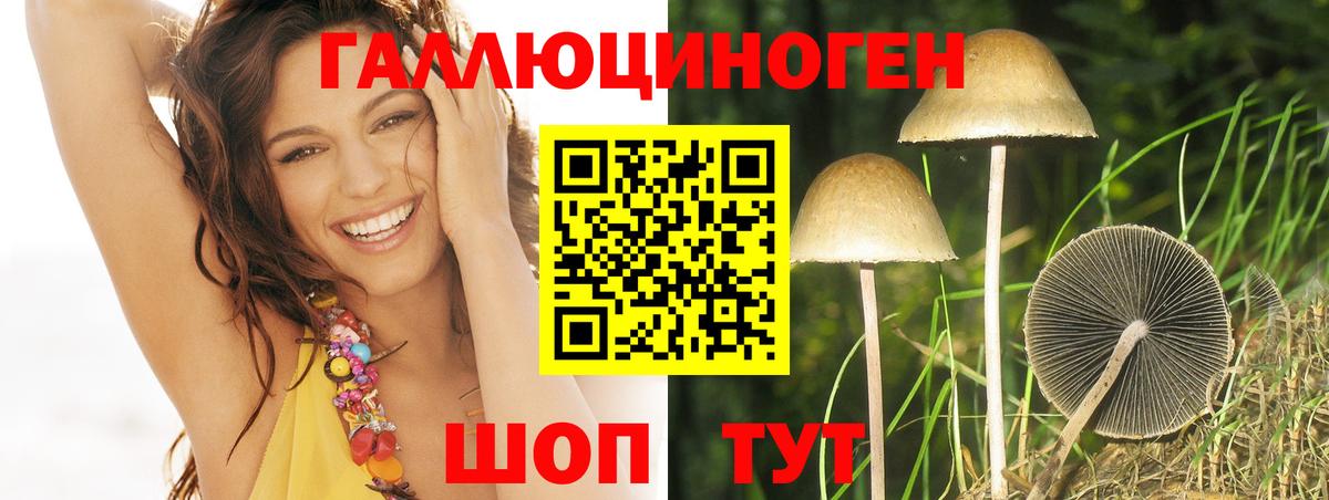 Псилоцибиновые грибы Psilocybine cubensis  где можно купить   Вход с VPN  Донской  Псилоцибиновые грибы GOLDEN TEACHER 